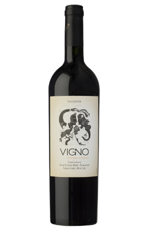 Carignan Old-Vines 'Vigno' 2013 Bodega Alcance, Maule Valley, Chile